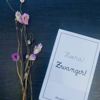 Mijlpaalkaarten 'Zwanger'