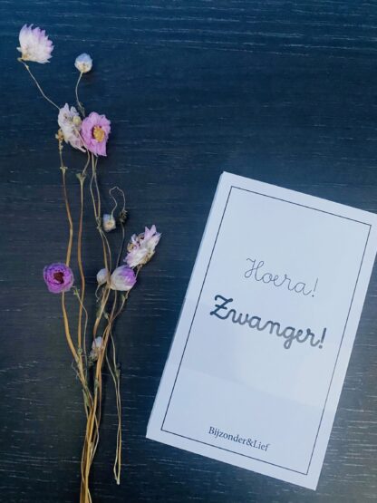 Mijlpaalkaarten 'Zwanger'