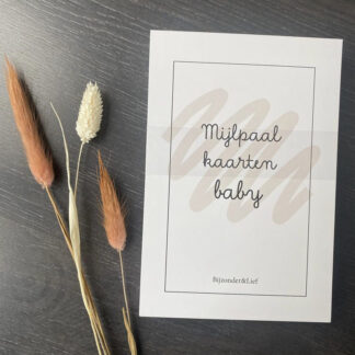 Mijlpaalkaarten 'Baby'