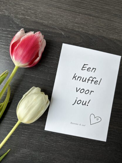 Een knuffel voor jou! - Afbeelding 2