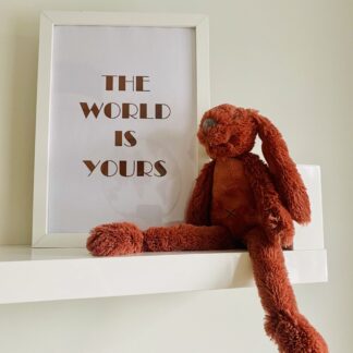 The world is yours