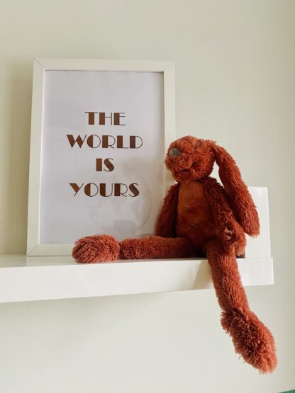 The world is yours