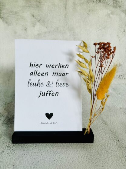 Hier werken alleen maar leuke & lieve juffen - Afbeelding 2
