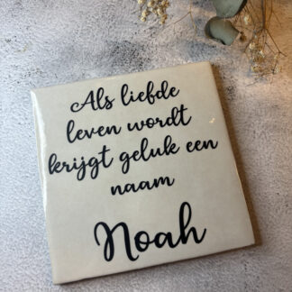 Tegel - Als liefde leven wordt krijgt geluk een naam