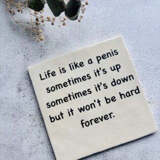 Tegeltje - life is like a penis